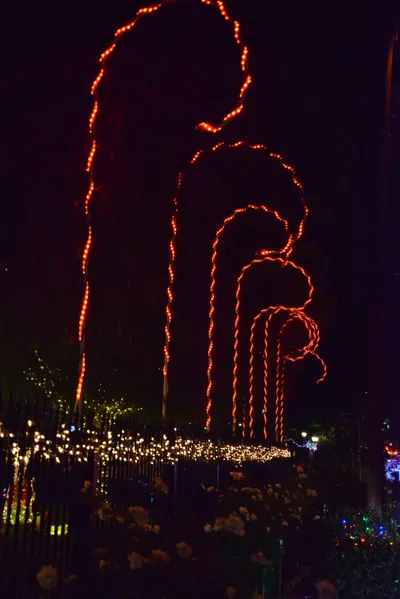 DSC_5782 (Large).JPG